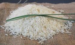 Rice